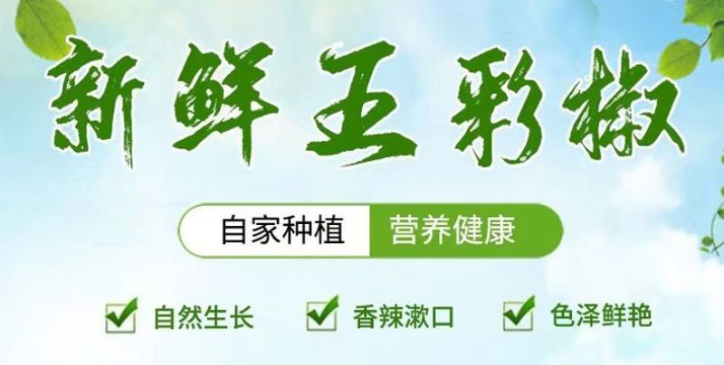 彩椒红黄彩椒圆椒甜椒五彩椒太空椒柿子椒红椒黄椒灯笼椒