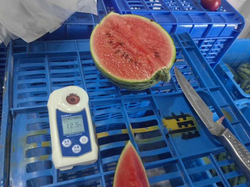 银霆生鲜之苏牧六号小糖丸手拨西瓜(无土栽培)