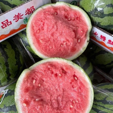 陕西无籽美都西瓜（降价了）品种齐全，对接电商市场批发商