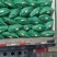 甜玉米大量供应需要的联系，支持发货全国各地市场商超。。。