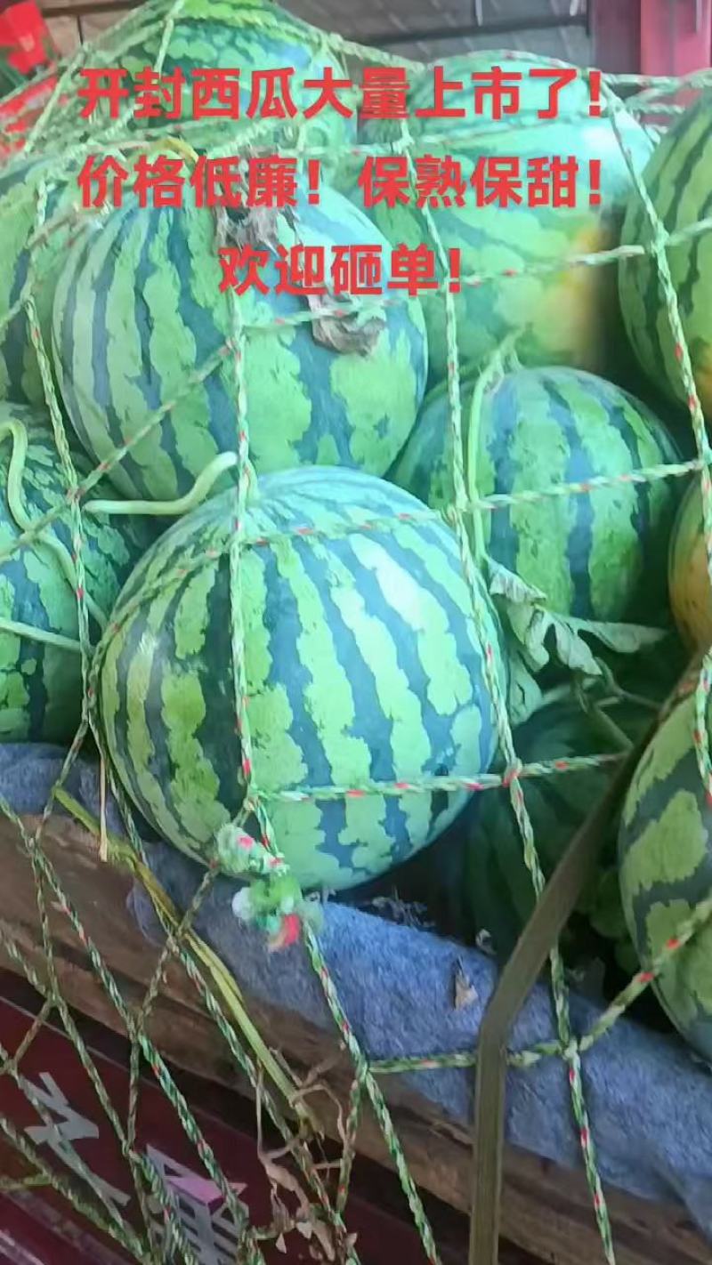 美都西瓜！产地直发！精品包装！保质保量！欢迎砸单