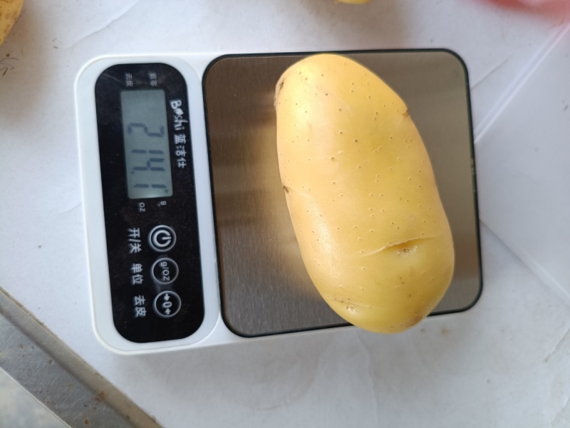精品土豆黄皮黄心土豆红皮土豆专业出口