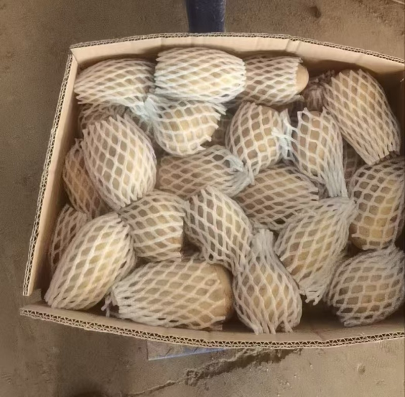精品土豆黄皮黄心土豆红皮土豆专业出口