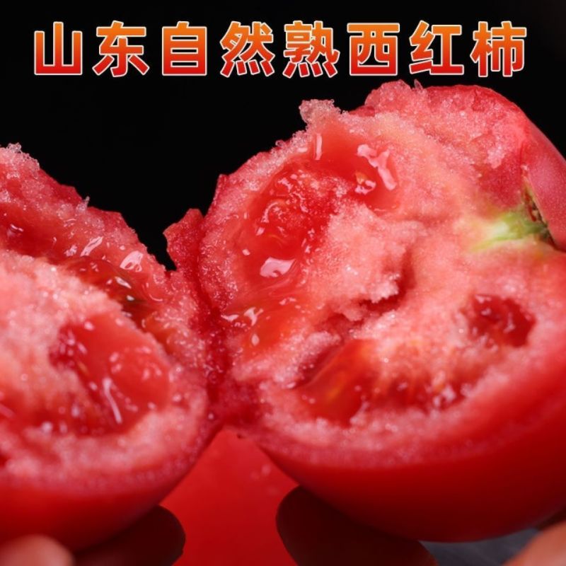 寿光源地山东省大红西红柿精品番茄货量充足世界各地