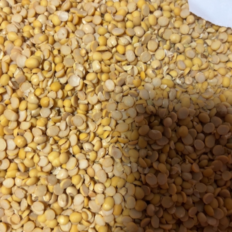 豆瓣