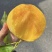 山东黄油桃/黄毛桃一件代发对接电商平台市场商超