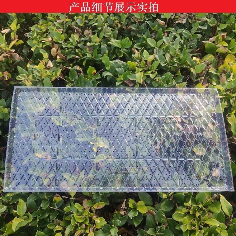 9寸机插育秧盘平盘软盘秧苗育苗盘透明加厚免揭插秧机盘秧盆