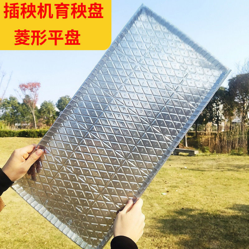 9寸机插育秧盘平盘软盘秧苗育苗盘透明加厚免揭插秧机盘秧盆