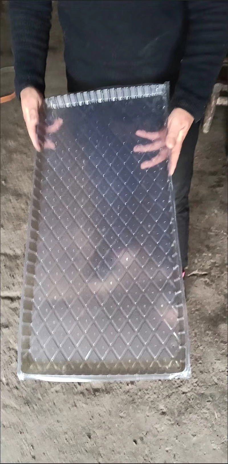9寸机插育秧盘平盘软盘秧苗育苗盘透明加厚免揭插秧机盘秧盆