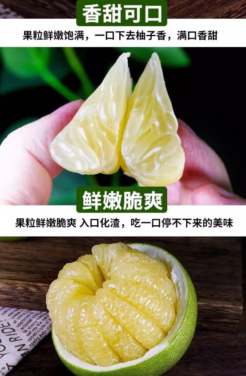 正宗麻麻柚白心蜜柚冰糖柚当季新鲜非福建沙田柚傣柚一件代发