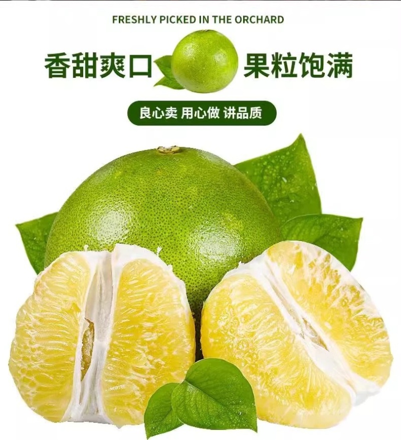 正宗麻麻柚白心蜜柚冰糖柚当季新鲜非福建沙田柚傣柚一件代发