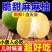 正宗麻麻柚白心蜜柚冰糖柚当季新鲜非福建沙田柚傣柚一件代发