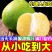 正宗麻麻柚白心蜜柚冰糖柚当季新鲜非福建沙田柚傣柚一件代发