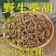 精选新货中药材正宗特级甘肃柴胡野生年藏批发包邮柴胡新鲜***