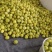 精品花宝甜瓜大量上市产地一手货源支持一件代发欢迎订购