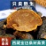 西藏野生桑黄正宗西藏桑树桑黄***金边桑黄长白山老偏方桑正品