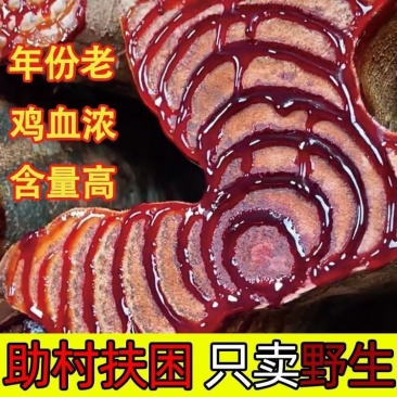 广西野生鸡血藤助村天然***无硫新鲜干货大片泡水泡酒泡茶煲汤