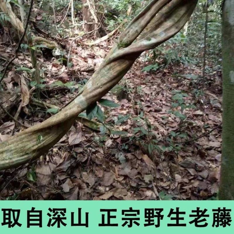 广西野生鸡血藤助村天然***无硫新鲜干货大片泡水泡酒泡茶煲汤