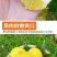 正宗纯甜湖南怀化芷江黄金贡柚土柚子当季新鲜水果一件代发