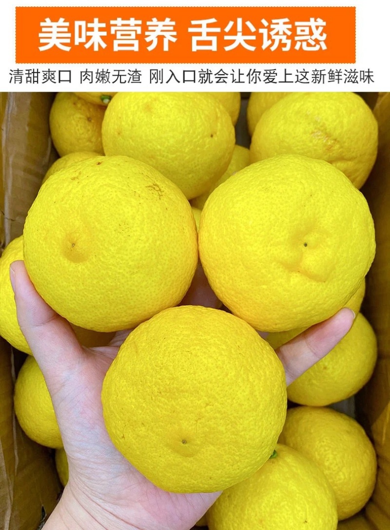正宗纯甜湖南怀化芷江黄金贡柚土柚子当季新鲜水果一件代发