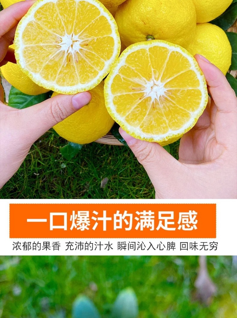 正宗纯甜湖南怀化芷江黄金贡柚土柚子当季新鲜水果一件代发