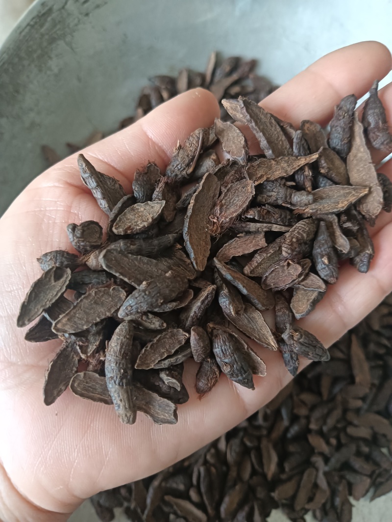 香附香附个香附片多个规格任选现货供应欢迎选购