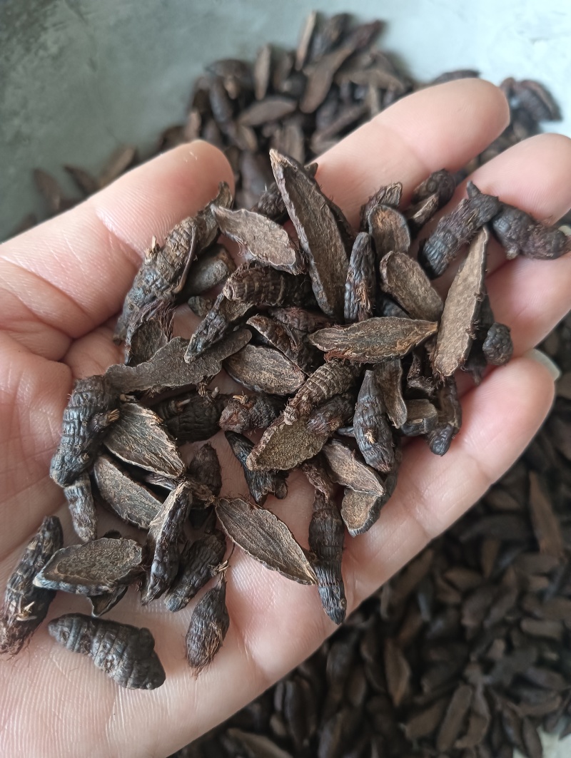 香附香附个香附片多个规格任选现货供应欢迎选购