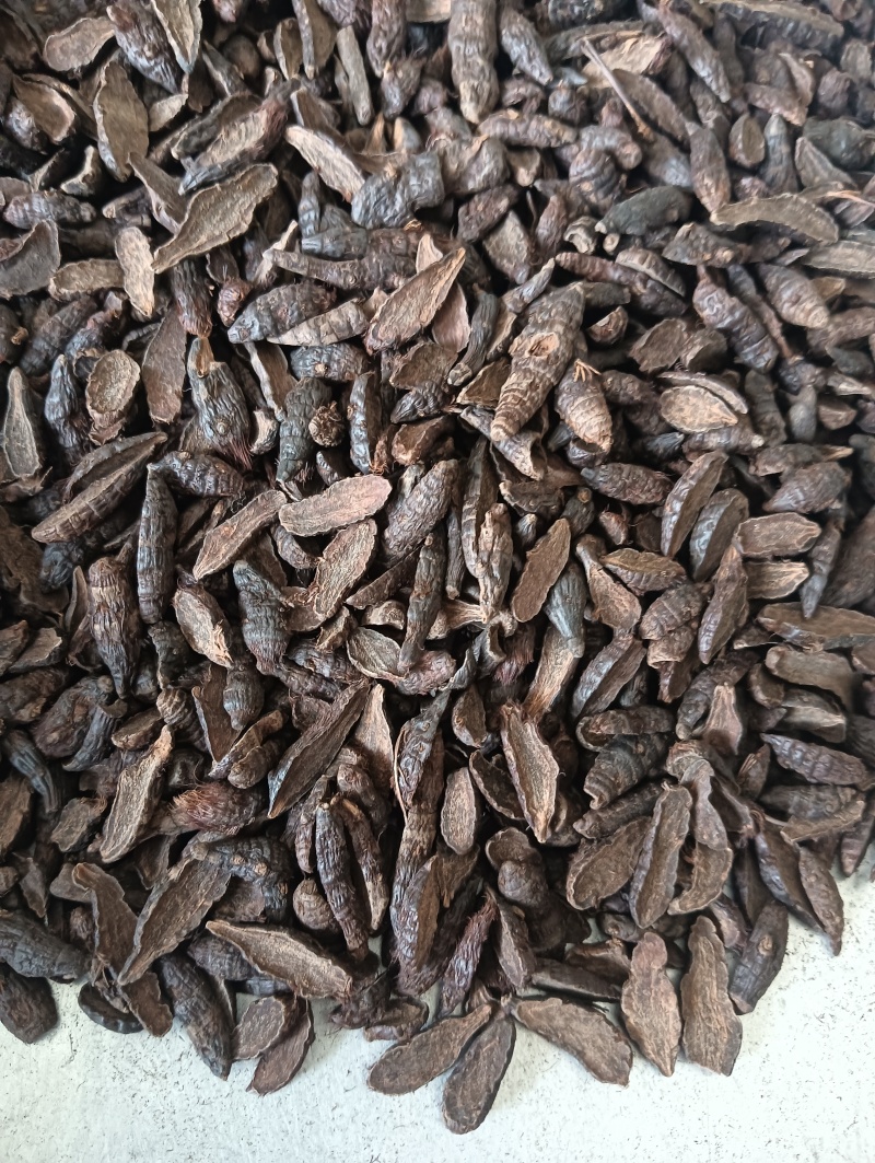 香附香附个香附片多个规格任选现货供应欢迎选购