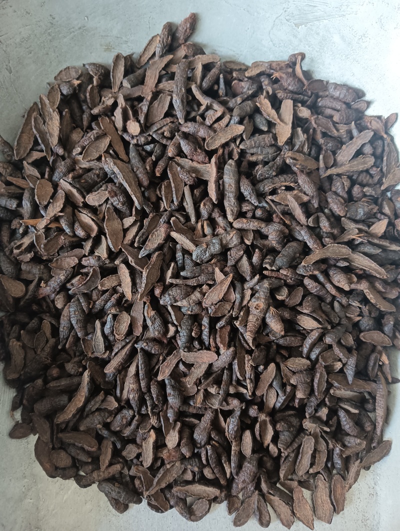 香附香附个香附片多个规格任选现货供应欢迎选购