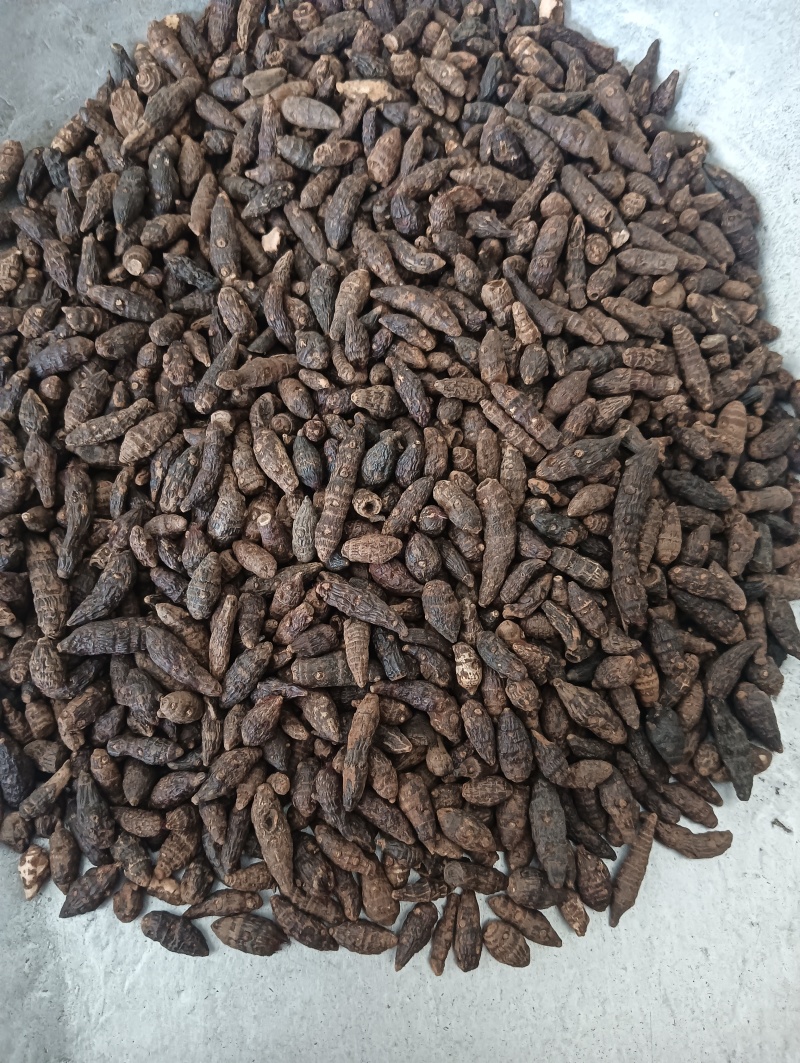 香附香附个香附片多个规格任选现货供应欢迎选购