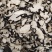 陕西猪苓片猪苓个水洗猪苓个包检