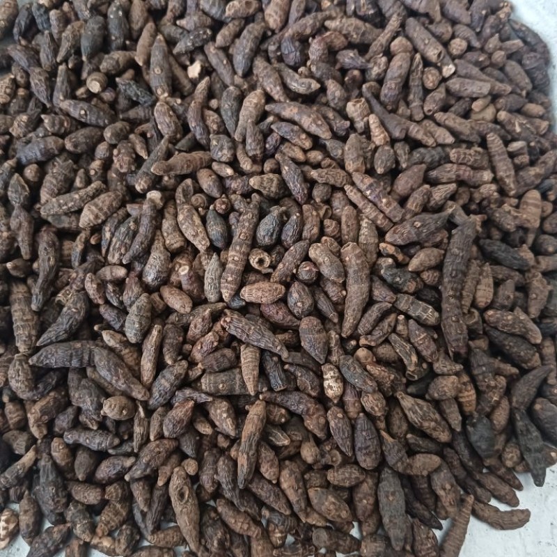 生香附个香附片现货供应批发各种中药材量大优惠
