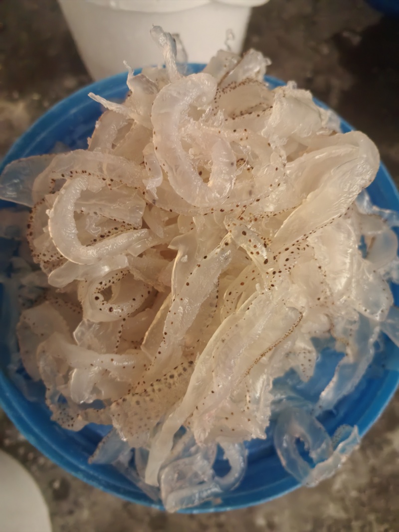 海蜇丝珊瑚白花丝大量现货对接各大电商平台一件代发批发零售