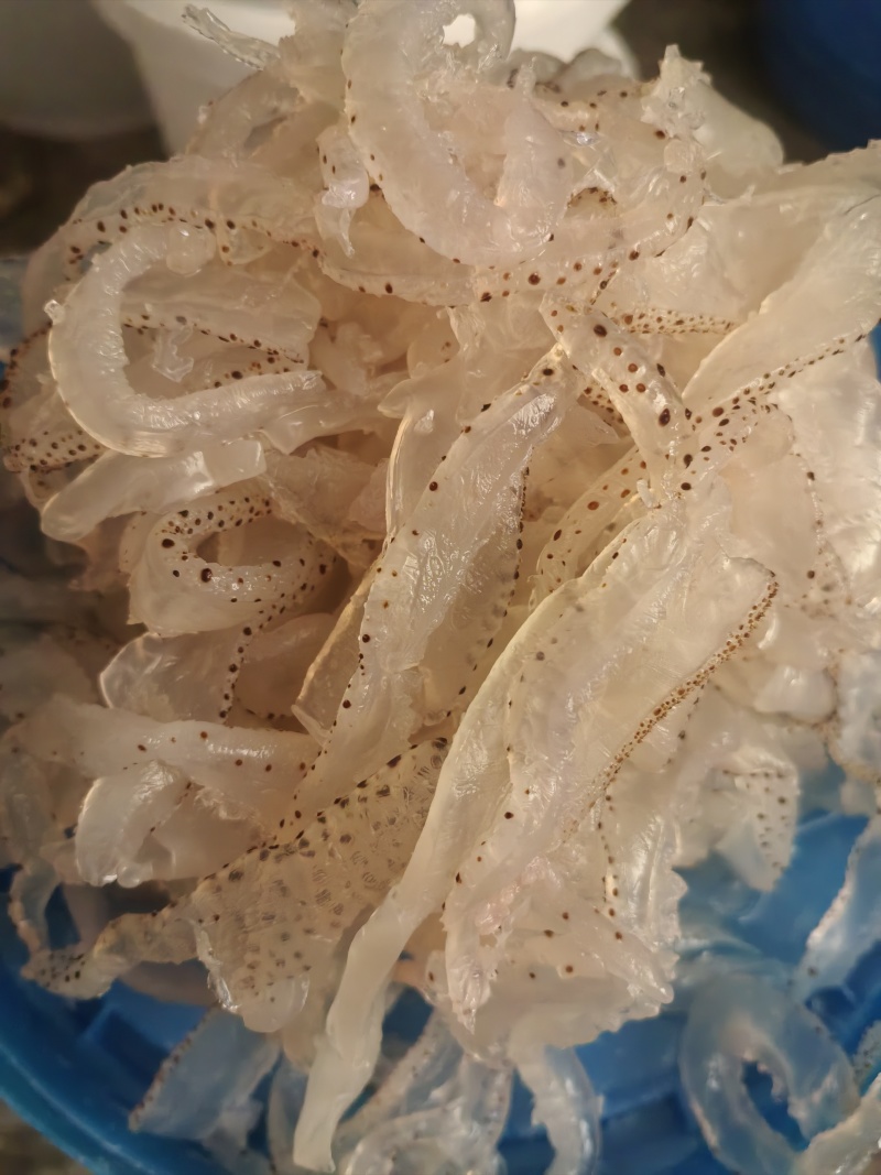 海蜇丝珊瑚白花丝大量现货对接各大电商平台一件代发批发零售