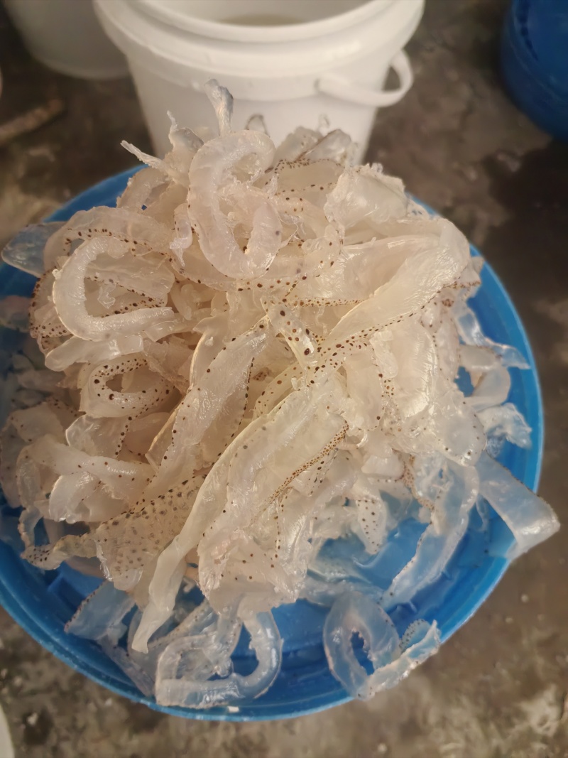 海蜇丝珊瑚白花丝大量现货对接各大电商平台一件代发批发零售