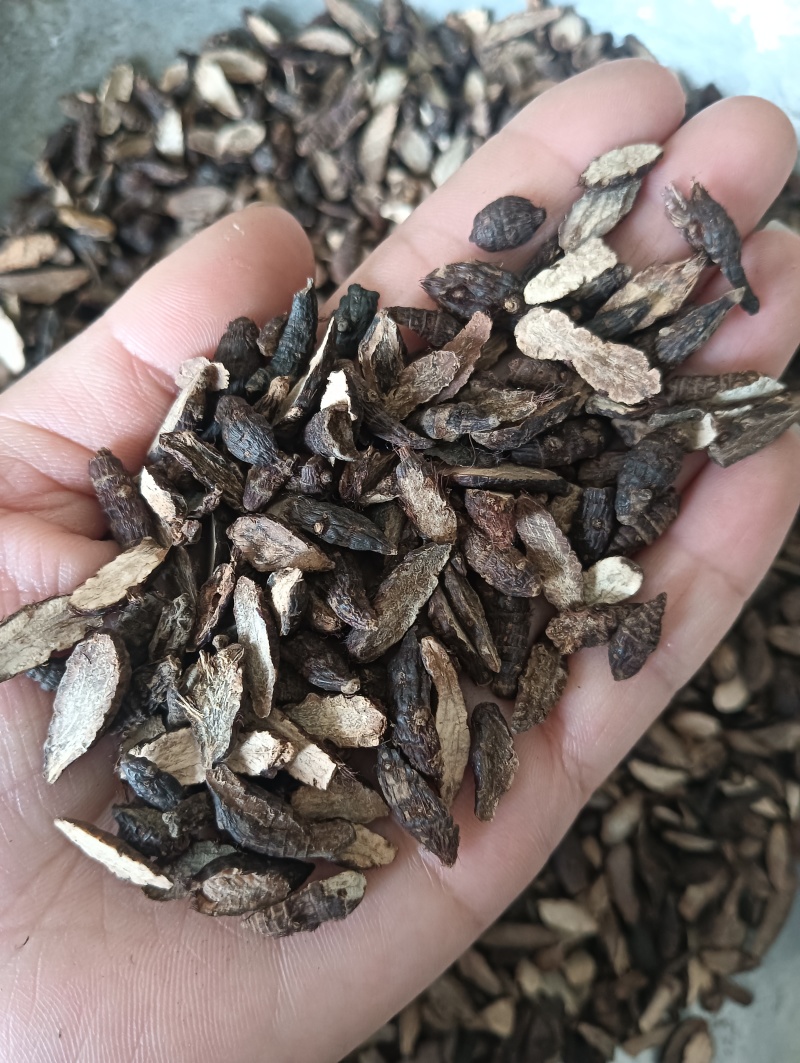 生香附个香附片现货供应批发各种中药材量大优惠