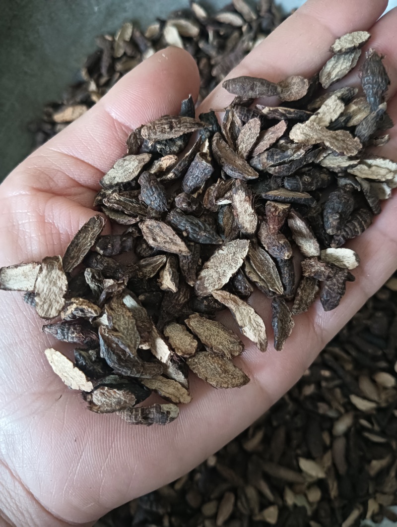 生香附个香附片现货供应批发各种中药材量大优惠