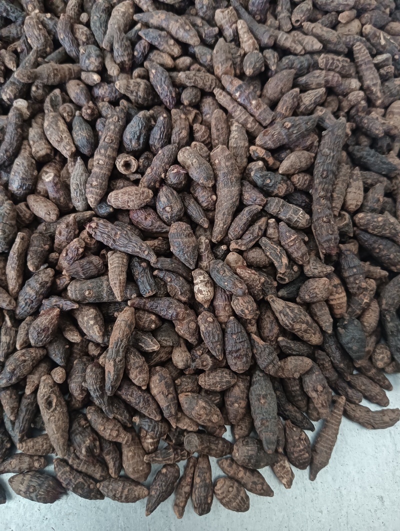 生香附个香附片现货供应批发各种中药材量大优惠