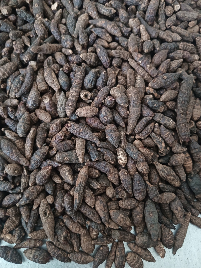 生香附个香附片现货供应批发各种中药材量大优惠