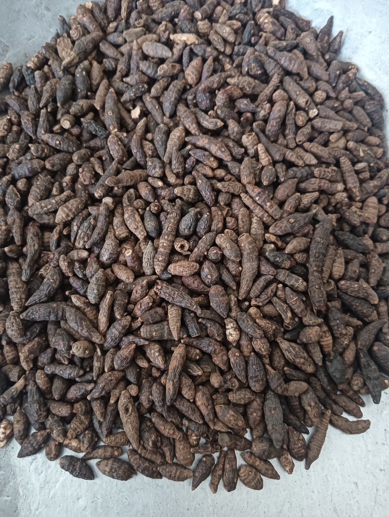 生香附个香附片现货供应批发各种中药材量大优惠