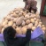 老南瓜金韩密本南瓜大南瓜粉糯甜南瓜次品养殖南瓜
