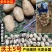 【高人气】河南沃土土豆现挖现发干净杂质少表皮光滑无青头机