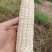 精品甜糯玉米大量供应，四川产地直发，货源充足，量大从优