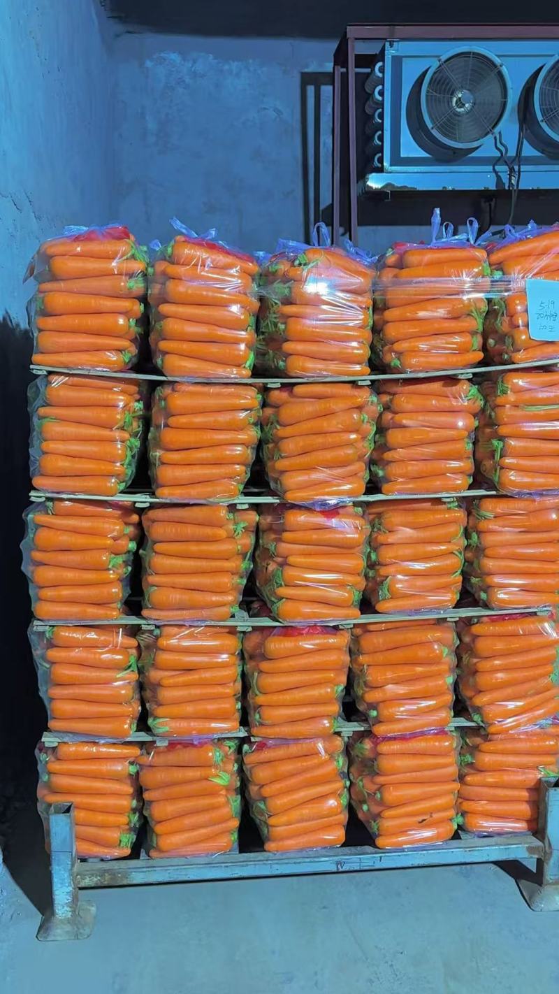 精品水洗胡萝卜对接市场电商全国发货三红胡萝卜
