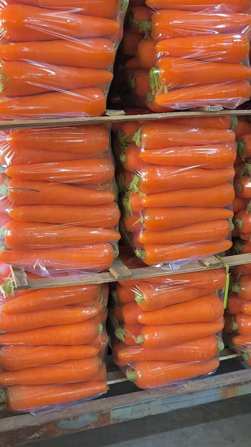 精品水洗胡萝卜对接市场电商全国发货三红胡萝卜