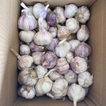 大蒜，干蒜紫皮大蒜，电商一件发货，规格齐全，一件代发