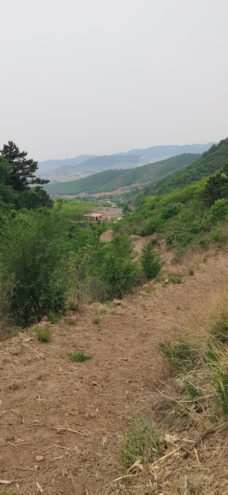 山地出租，养殖种植和工厂都行，价格详谈