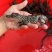 鳄鱼🐊头苗​大量接单，现货秒发，秒出单[勾引][勾引