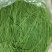 甘肃天然新鲜沙葱电商供应全国供应，一手货源量大从优