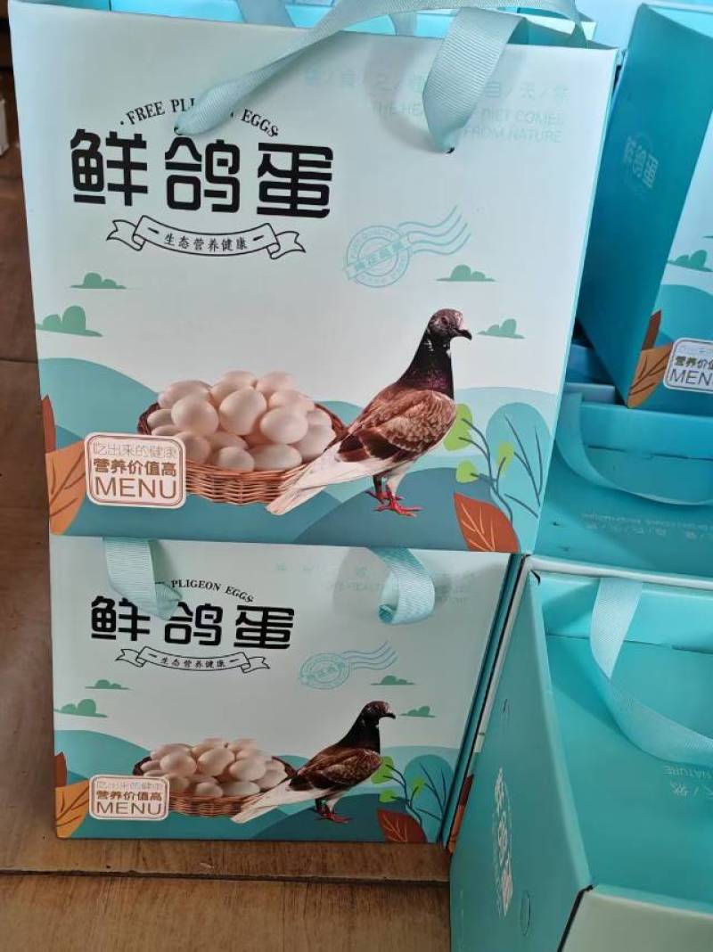 17克以上新鲜鸽子蛋批发零售
